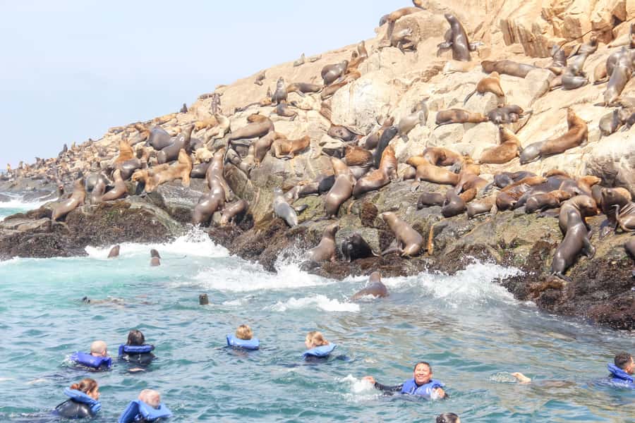 Lima: Palomino Islands Speedboat Tour & Swim with Sea Lions - Boarding the Speedboat at Callao