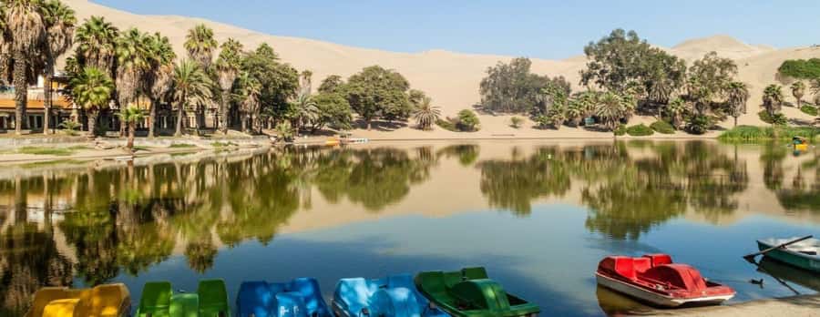 Lima: Paracas and the Huacachina Oasis Guided Day Tour - Guides, group style, and communication