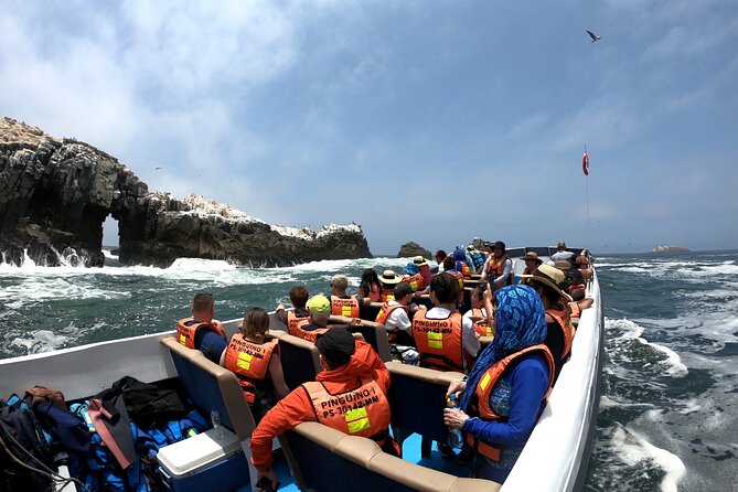 Lima Peru Sea Lions, History and Palomino Callao Islands - What is included, and what you still need