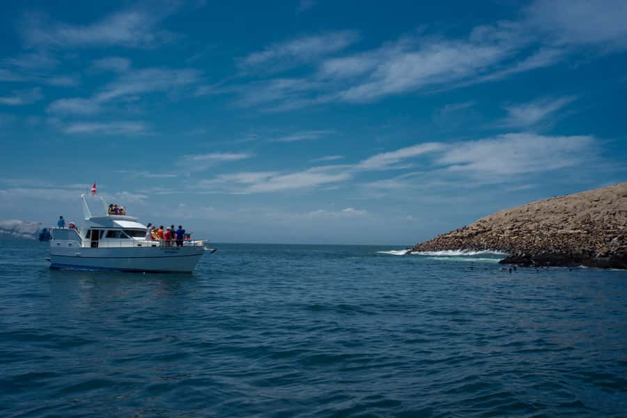 Lima: Sea Lion Swim and Wildlife Palomino Islands Cruise - The Palomino Islands Sea Lion Swim