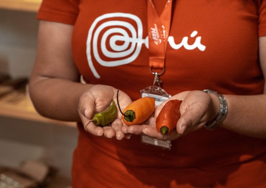 Lima: Ultimate Peruvian Food Tour - Coffee, ice cream, and the final tasting stops