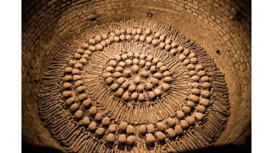 LIMA WALKING TOUR CATACOMBS FROM MIRAFLORES, HISTORICAL CENTER, WINES+BUS - Key points to know before booking