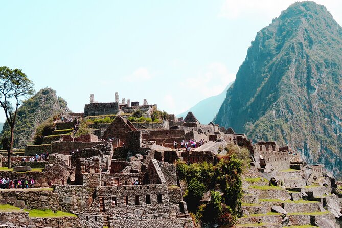Machu Picchu 1 Day Tour from Cusco by Train - Group size, communication, and organization