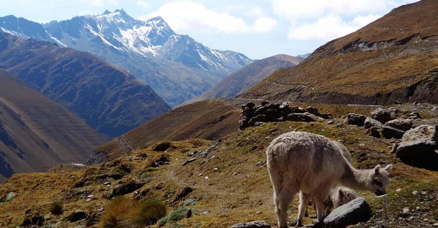 Machu Picchu 2 Days / 1 Night (By Bus) - Is this route right for your fitness level?