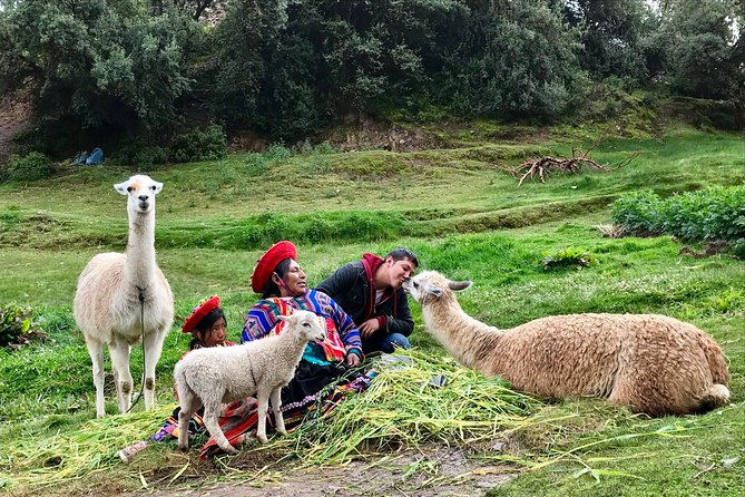Machu Picchu Full Day from Cusco - Booking questions worth asking first