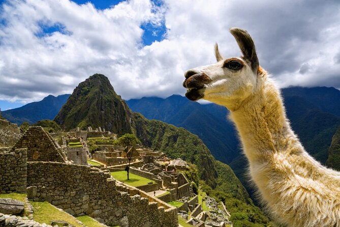 Machu Picchu Full Day with lunch by Aludi Travel - The train ride is part of the Machu Picchu experience