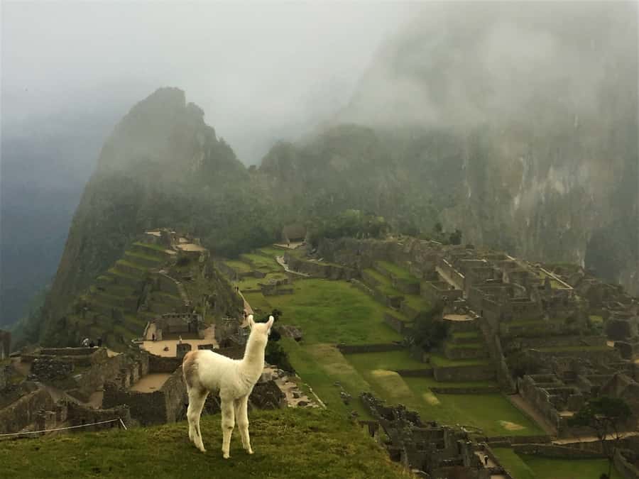 Machu Picchu: Private Tour Guide Service - Simple ways to prepare for a better visit