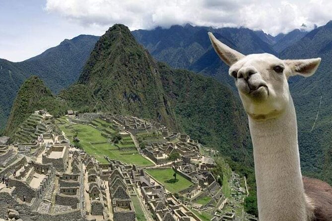Machu Picchu Small Group Day Tour from Cusco - What the $335 price really covers