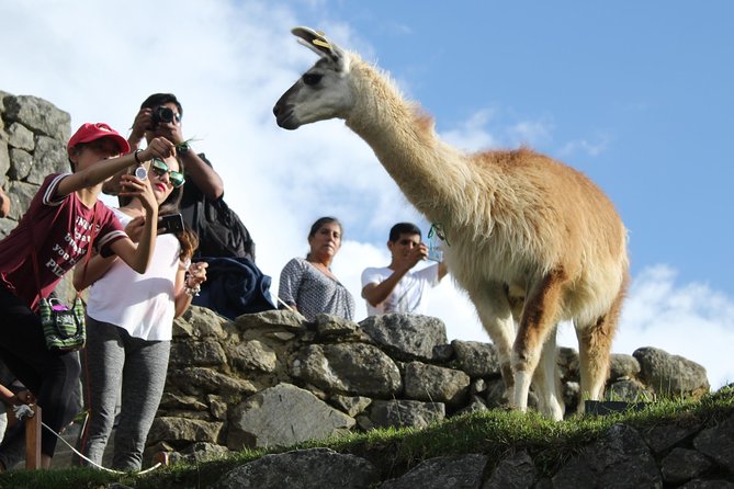 Machu Picchu Tour From Cusco Full Day - What the $425 price really covers
