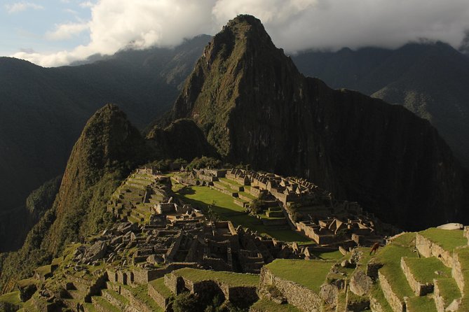 Machu Picchu Tour From Cusco Full Day - Who will enjoy this Machu Picchu tour
