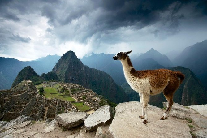 MachuPicchu Private Full Day Tour by Vistadome train from Cusco - Why this private day trip works