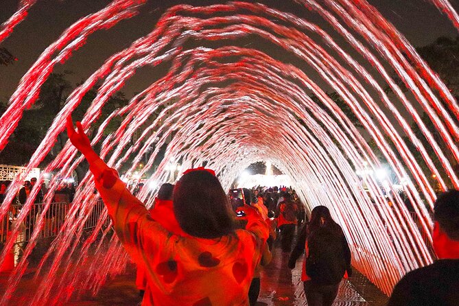 Magic Water & Laser Light Show Including Pickup And Drop-Off - Guides make the difference inside the park