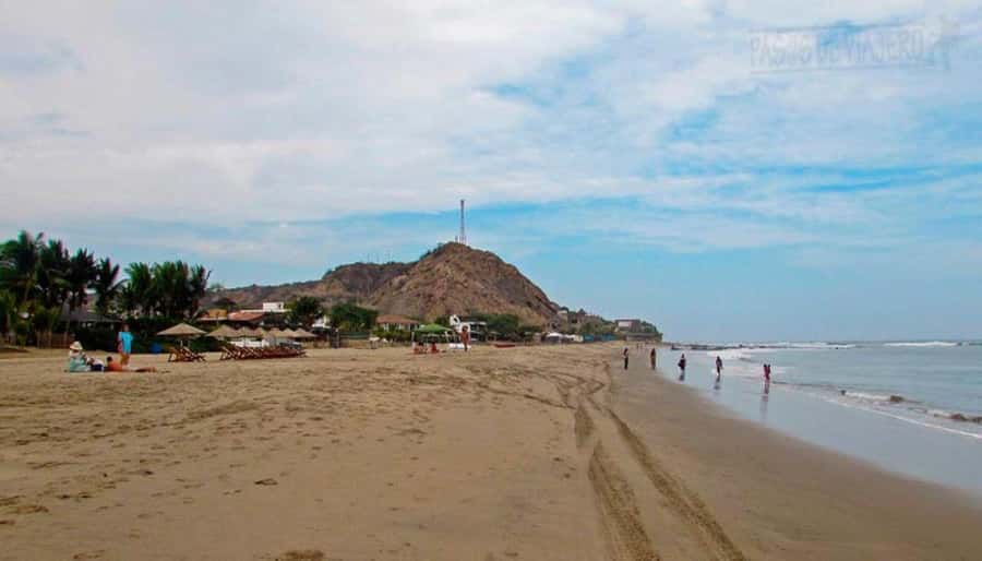 Mancora: Beaches and Tumbes Mangroves Day Trip - The timing requires realistic expectations