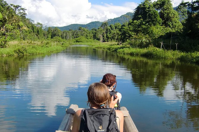 Manu Adventure (4 Days) - Wildlife: what you may actually see