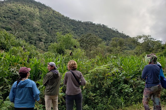 Manu National Park Tour 4days/3night - What the listed stops really mean