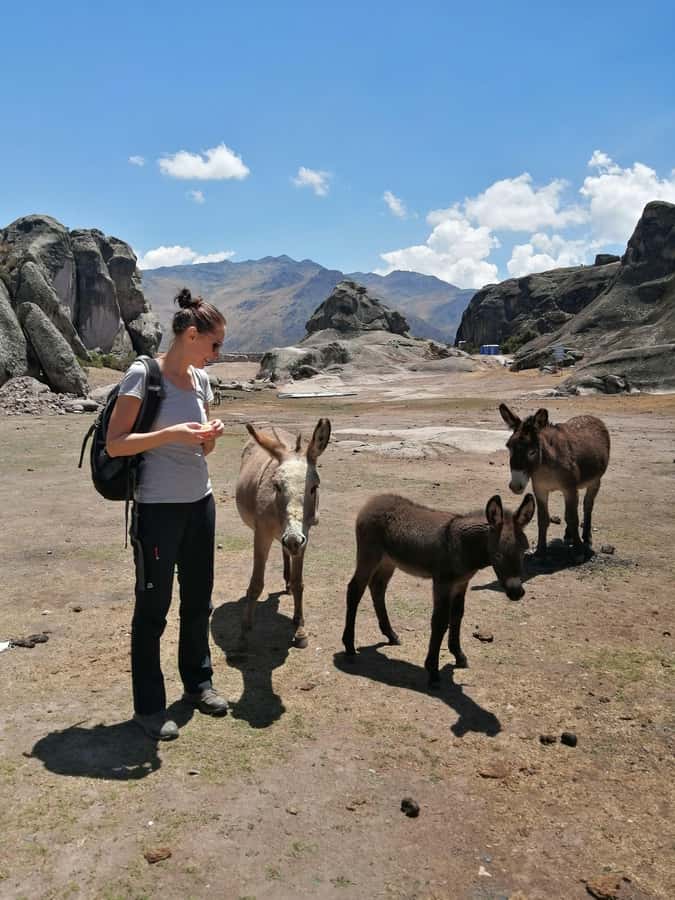 Marcahuasi Experience in Lima - Who will get the most from Marcahuasi