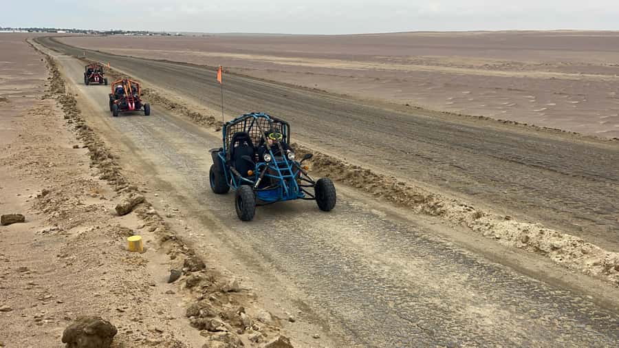 Mini Buggy GO KART in Paracas National Reserve - Key points to know before booking