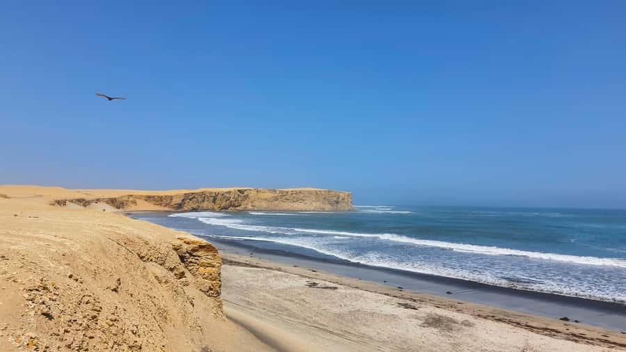 Mini Buggy GO KART in Paracas National Reserve - What the $55 price really covers