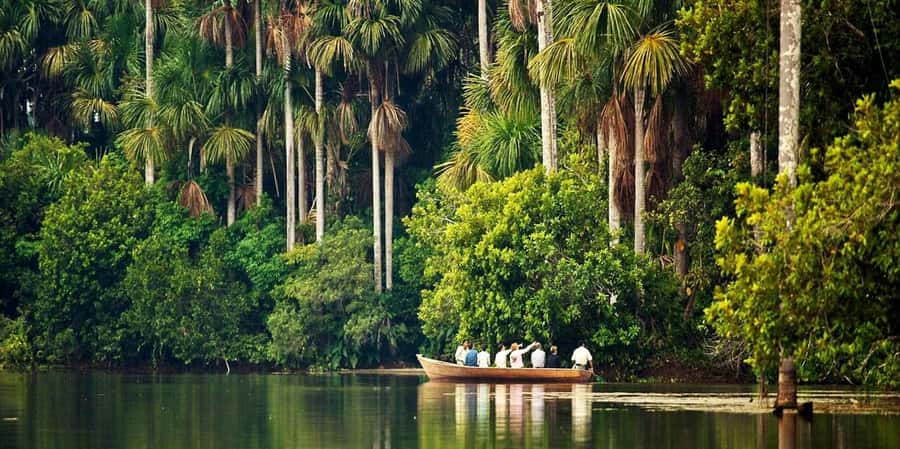 Monkey Island + Lake Sandoval 2D/1N - Why this short Tambopata trip works