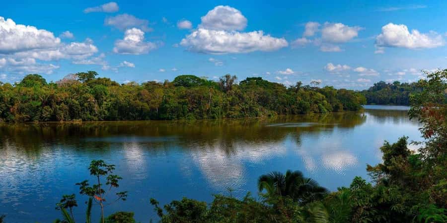 Monkey Island + Lake Sandoval 2D/1N - From Puerto Maldonado to the ecolodge