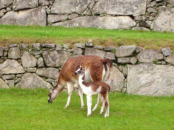 Mystical Journey: 2-Day Private Adventure to Machu Picchu - Day one: from Cusco to Aguas Calientes by way of Ollantaytambo