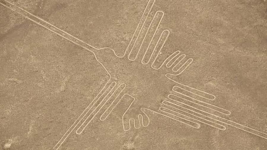 Nazca: Light aircraft flight over the Nazca Lines - Who should book this Nazca flight?