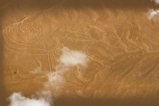 Nazca Lines and Dune Buggy (Huacachina) from Ica - Reading the Nazca Lines from a small plane