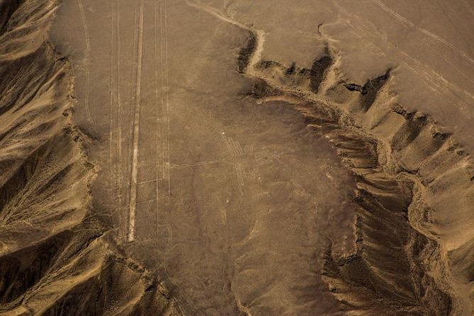 Nazca Lines and Dune Buggy (Huacachina) from Ica - The return to Ica and a sensible lunch break
