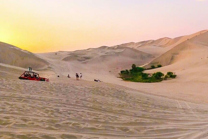 Nazca Lines and Dune Buggy (Huacachina) from Ica - Sandboarding for beginners and thrill seekers