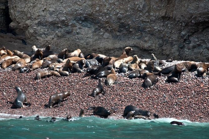 Nazca Lines & Ballestas Islands Private Tour Bus&Flight from Lima - The 3 a.m. Lima departure and coach ride