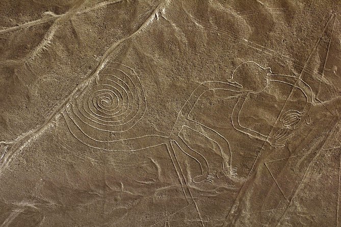 Nazca Lines & Ballestas Islands Private Tour Bus&Flight from Lima - Lunch, free time, and the four-hour return