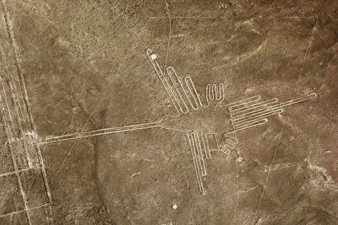 Nazca Lines & Ballestas Islands Private Tour Bus&Flight from Lima - What $818 buys you