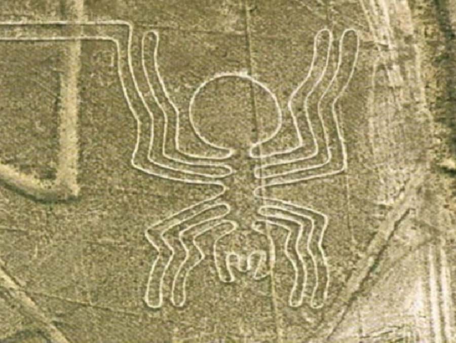 Nazca: Maria Reiche Museum and Nazca Lines Viewpoint Tour - Who should book this tour