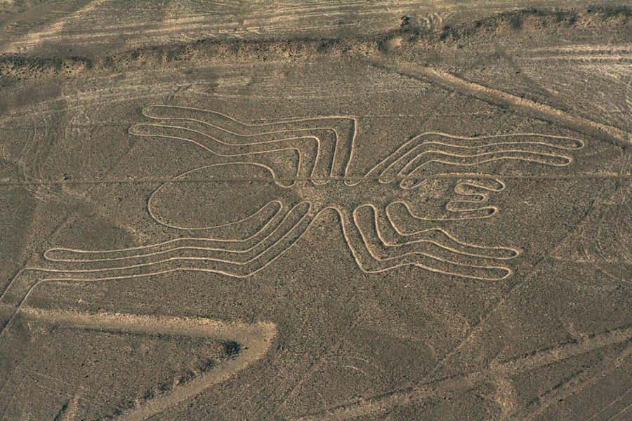 Nazca: Maria Reiche Museum and Nazca Lines Viewpoint Tour - Practical tips for a better visit