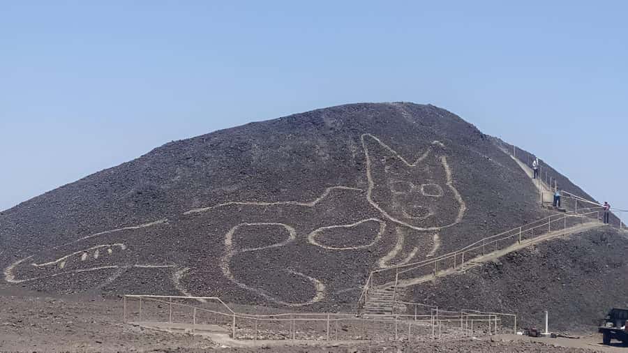 Nazca: Maria Reiche Museum and Nazca Lines Viewpoint Tour - Starting from your hotel in Nazca