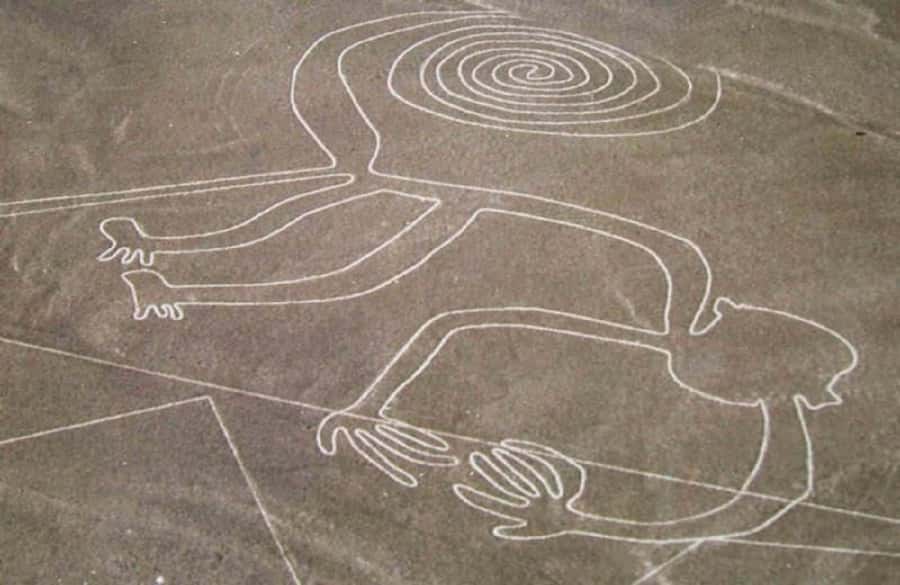 Nazca: Overflight of the Nazca Lines - What the guide adds to the view