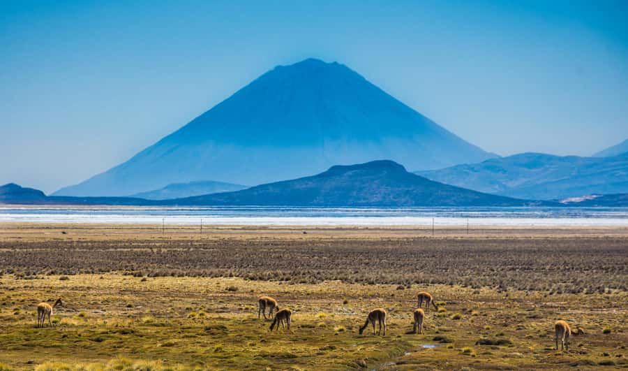Offer Price Tour Salinas Lagoon and National Reserve 8 hours - Optional mini thermal wells around 11:30