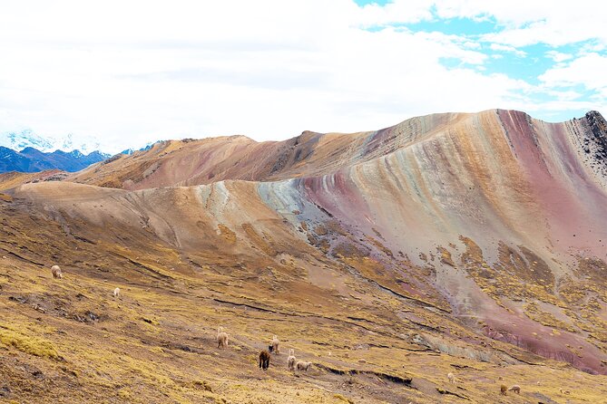 Palccoyo Rainbow Mountain Full Day Tour from Cusco - Who will enjoy this Palccoyo day trip?