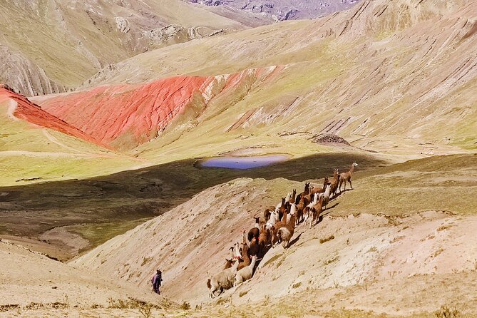 Palccoyo Rainbow Mountains Full Day Tour from Cusco - What the $56.05 price really includes