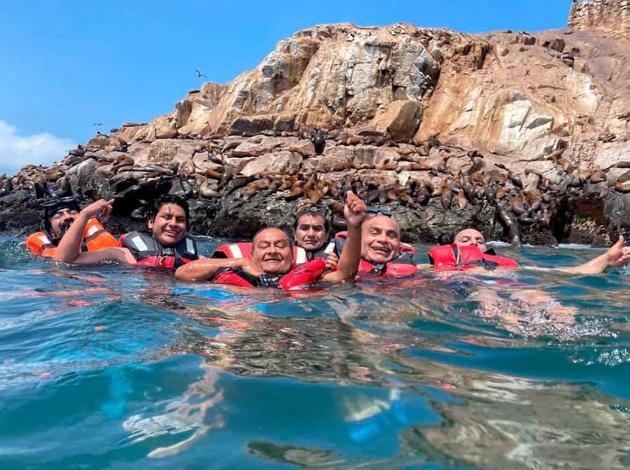 Palomino Islands Yacht Tour and swim alongside the sea lions - The real appeal: a sea lion swim off Lima