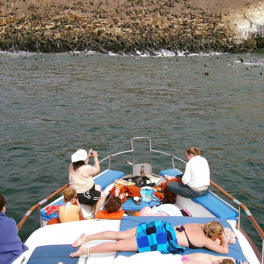 Palomino Islands Yacht Tour and swim alongside the sea lions - San Lorenzo Island and the first hour on the water