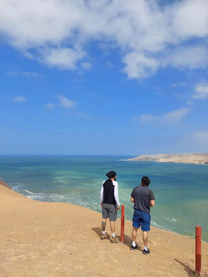 Paracas: Ballestas Island & Nature Reserve all inclusive - Key points to know before booking
