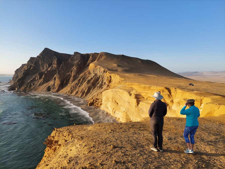 Paracas: Ballestas Island & Nature Reserve all inclusive - Why this half-day Paracas tour works so well