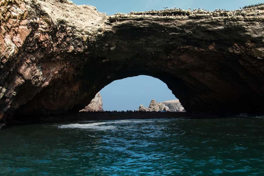 Paracas: Ballestas Island & Nature Reserve all inclusive - Ballestas Islands: birds, sea lions, and penguins