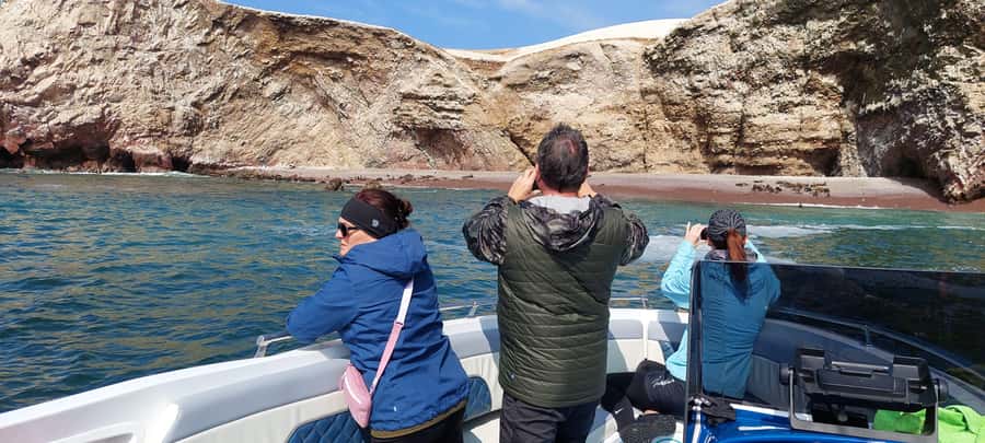 Paracas: Ballestas Island & Nature Reserve all inclusive - A short pause back in Paracas