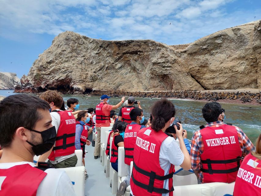 Paracas: Ballestas Island & Nature Reserve all inclusive - The Paracas National Reserve by private vehicle