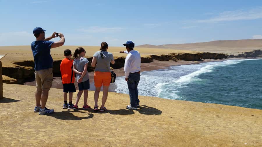 Paracas: Ballestas Island & Nature Reserve all inclusive - Pickup from your hotel or bus station