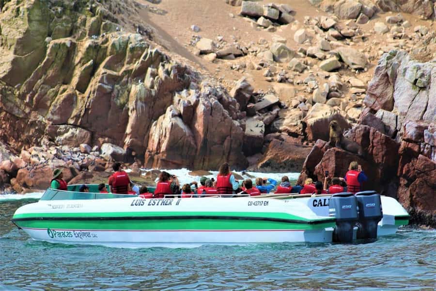 Paracas: Ballestas Islands and Candelabra of Paracas Boat - Key points to know before you go