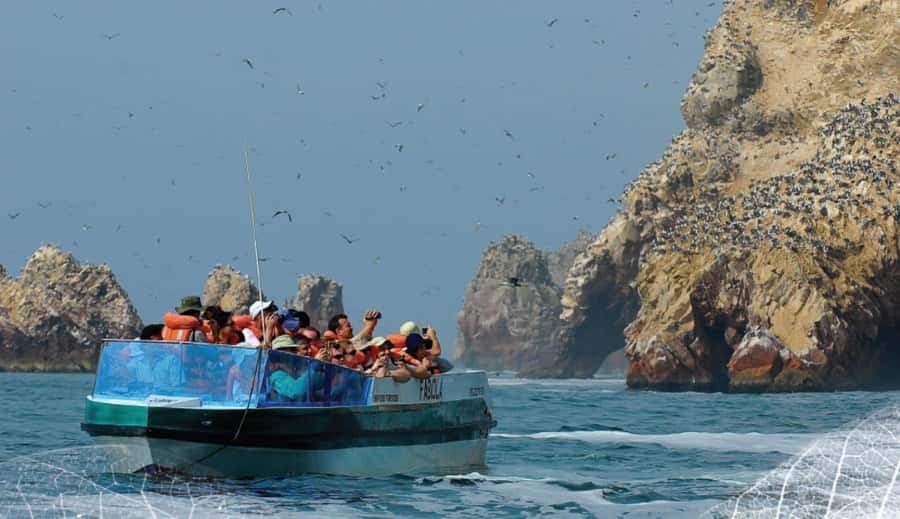 Paracas: Ballestas Islands and Candelabra of Paracas Boat - Who will enjoy this boat trip most?