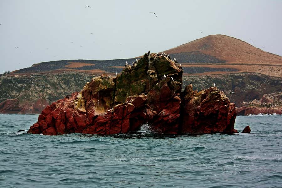 Paracas: Ballestas Islands and Candelabra of Paracas Boat - FAQ